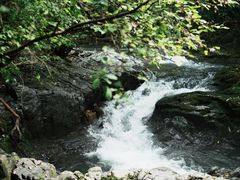 -关门山森林公园