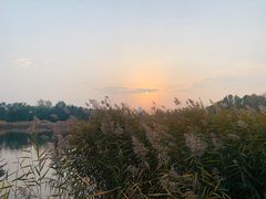 -永定河休闲森林公园