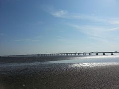 android_upload_pic-南汇嘴观海公园