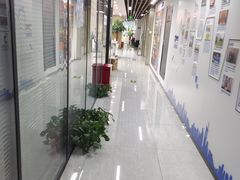 -新航道雅思托福·留学·考研培训(人民广场校区)