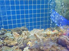 -福禧荟·海鲜自助