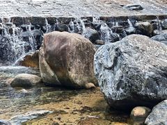 -石台牯牛降景区