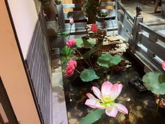 -徽镇小厨·经典徽菜(十里河店)