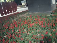 -江西财经大学(蛟桥园南校区)