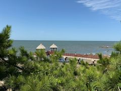 -养马岛旅游度假区