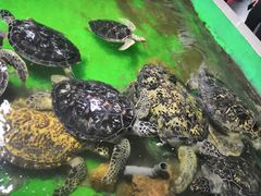 -常州海昌海洋探索馆