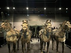 -秦始皇帝陵博物院-丽山园