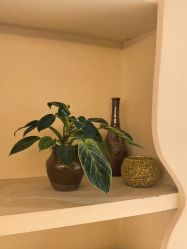 点击看大图 -阿南达·瑜伽普拉提·阿育吠陀疗愈中心