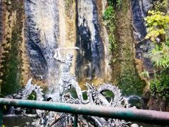 -西双版纳原始森林公园