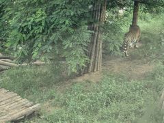 -大连森林动物园