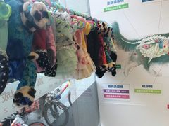-创凡宠物医院·骨专科  猫科中心(西乡分院)