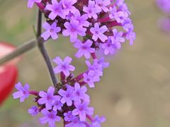 -百里山水画廊