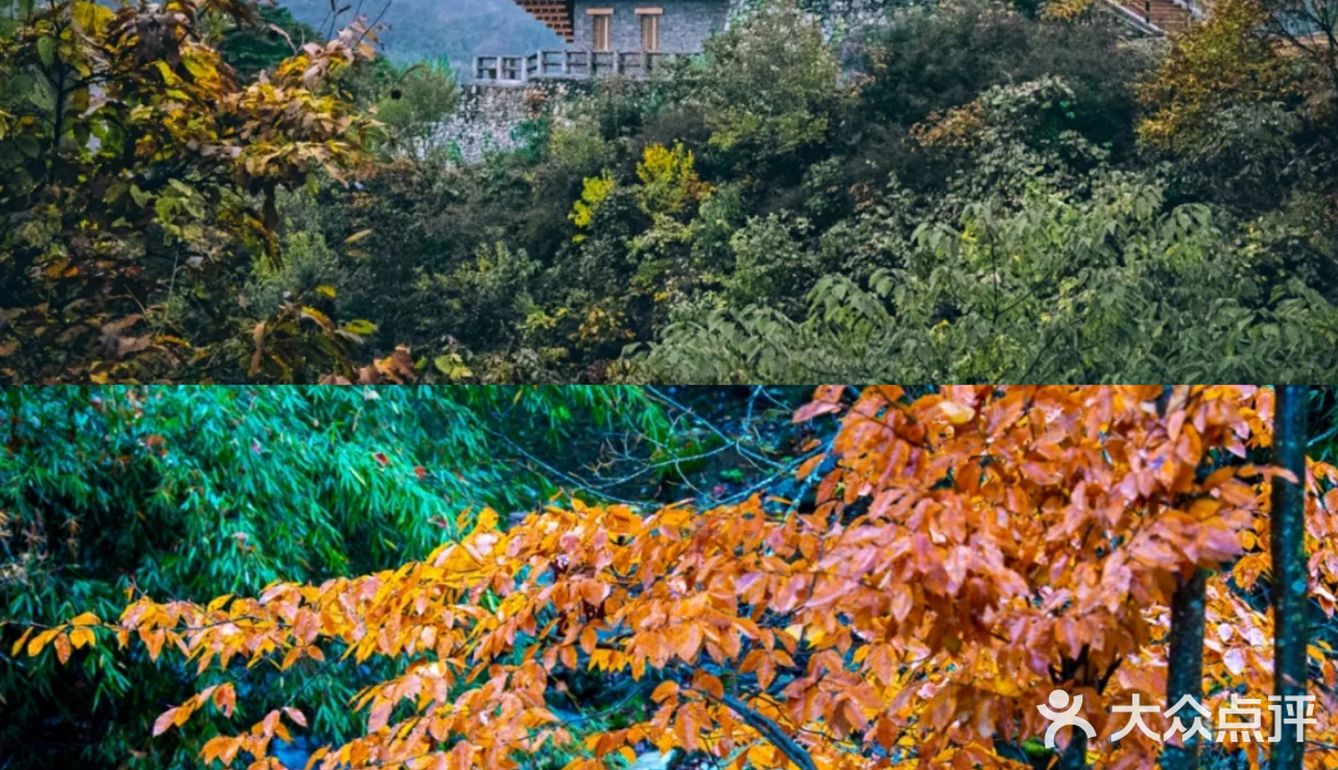 西安周边丨自驾秦岭红叶秘境,畅玩多彩之秋