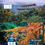 西安周边丨自驾秦岭红叶秘境,畅玩多彩之秋