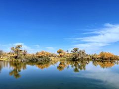 -新疆国际大巴扎