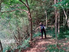 -黄公望隐居地