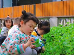 -斯坦丁国际幼稚园(驿都校区)