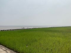 -南汇嘴观海公园