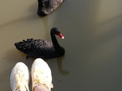 -宁波杭州湾国家湿地公园