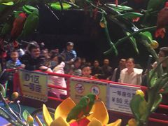 -广州长隆国际大马戏