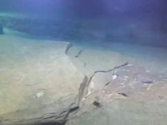 -白鹤梁水下博物馆