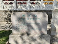 -溪口-滕头旅游景区