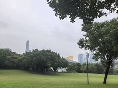 -莲花山公园