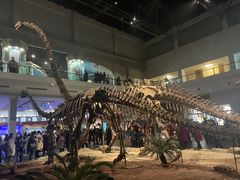 -自贡恐龙博物馆