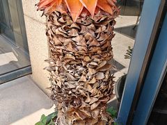 -熙楼(翠湖店)