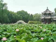 -莲池书院博物馆