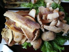 -野菌皇海景野生菌火锅(滨海大道店)