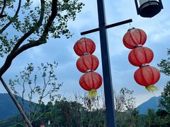 -龙坞茶村