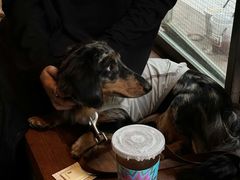 -JPG coffee(广州体育西店)