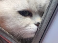 -联合动物医院(光谷诊疗中心)