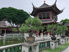 -碧江金楼