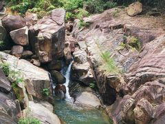 -广州白江湖森林公园