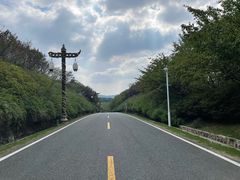 -宜兴龙背山森林公园