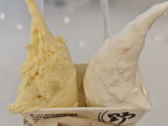 -野人先生Gelato(上海长宁龙之梦店)