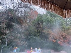 -天目湖涵田度假村