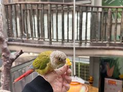 -正佳雨林生态植物园