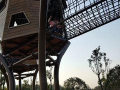 -枫香湖儿童公园