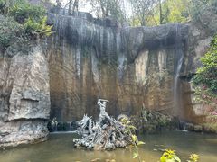 -西双版纳原始森林公园