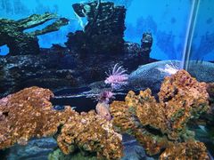 -泉州海丝野生动物世界