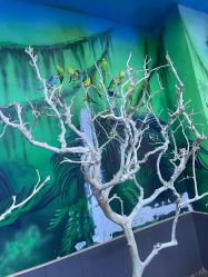 -未来动物城动物主题公园(大悦城店)