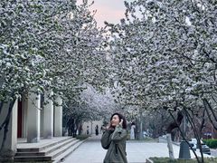 -山东师范大学(千佛山校区)