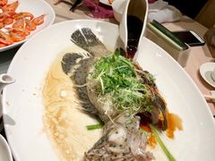 老鼠斑-陶陶居海鲜酒家(新马路店)