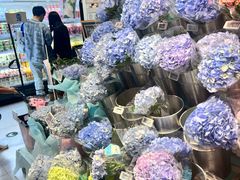 -盒马鲜生(顺义店)