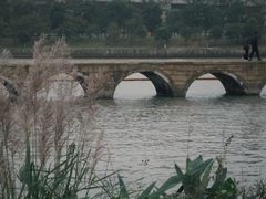 -澹台湖公园