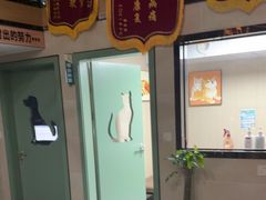 -半岛宠物医院24小时·内窥镜·牙科·碎石中心(府城大道店)
