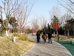 -东升文体公园